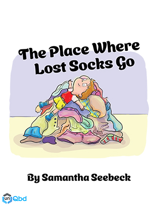 The Place Where Lost Socks Go Book Cover